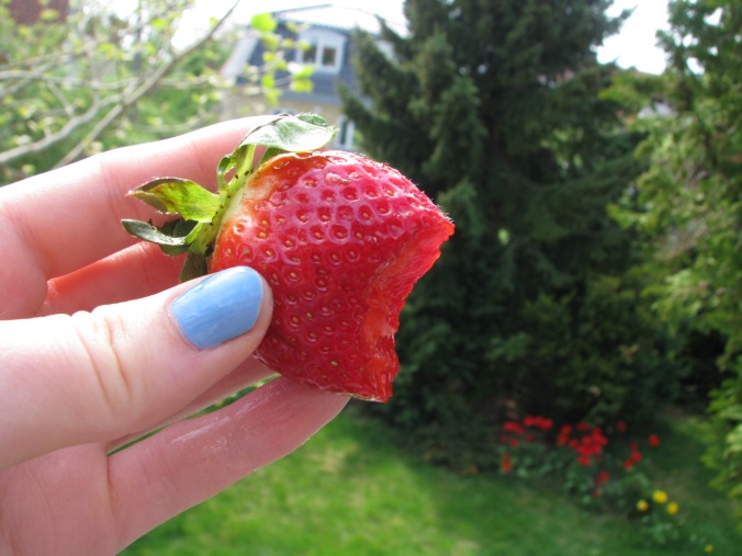 So now I'm just gonna eat some strawberries... HAPPY SUMMERTIME!!! :D